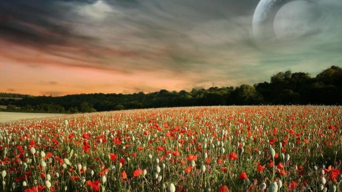 Postgres 和 MySQL 应该怎么选？ 